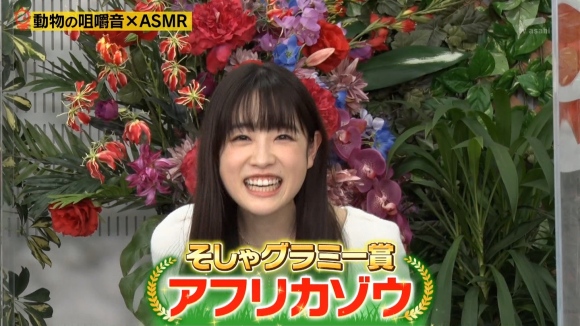 高橋ひかるパンチラ7 高橋ひかるパンチラ7