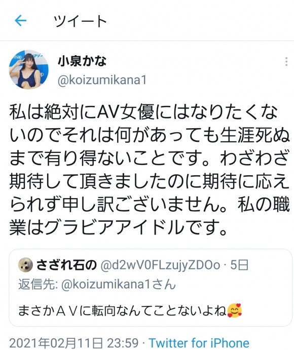 乳首グラビアアイドル小泉かな1