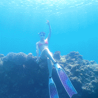 競泳日本選手権出場選手AV3