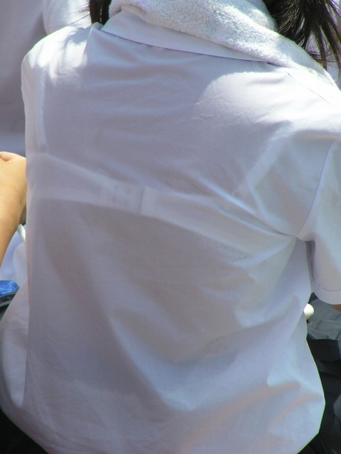 bb45a6e5.jpg
